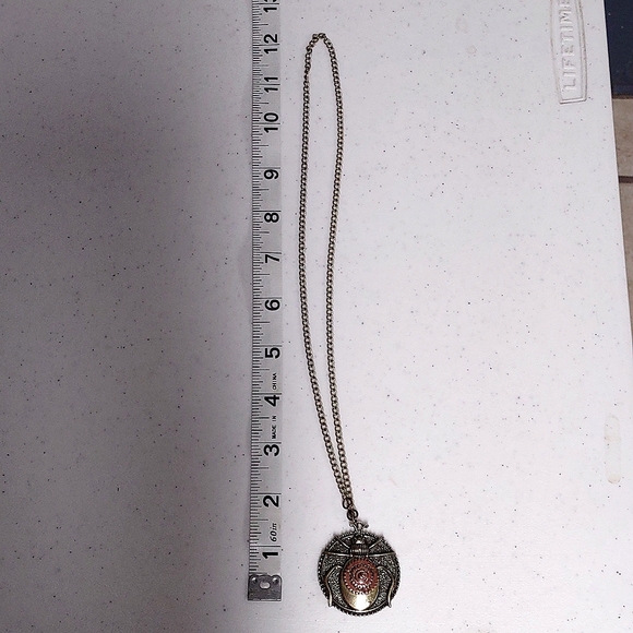🧭 Steampunk Beetle pendant and chain - Picture 2 of 7